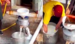 豆浆工厂爆料视频大全集,全方位爆料视频大全集深度解析