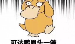 dy小羊没烦恼爆料视频,揭秘视频背后的精彩故事