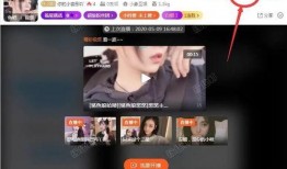 柬埔寨主播爆料视频网站,视频网站背后的惊人真相