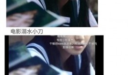 穿书娱乐圈吃瓜文,吃瓜文中的明星秘闻大揭秘